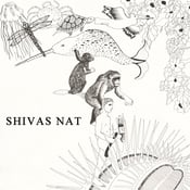 Image of Shivas Nat - Gimme Your b/w Love Bug -- colored vinyl 7"