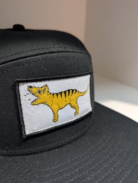 Image 4 of AS Colour ‘stock panel's cap