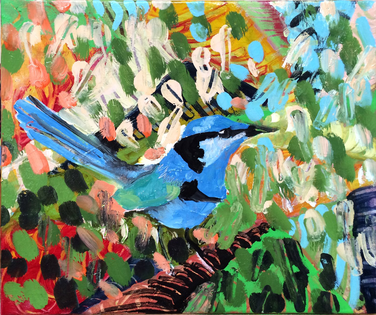 Blue wren | Mick Turner Art Store