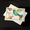 Hummingbird 5-Pack Greeting Card Set