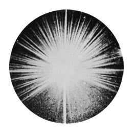 Image of The Soft Pack 7" single -Nightlife