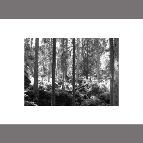 Image of In Mountains