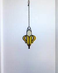 Image 5 of Banana Peel