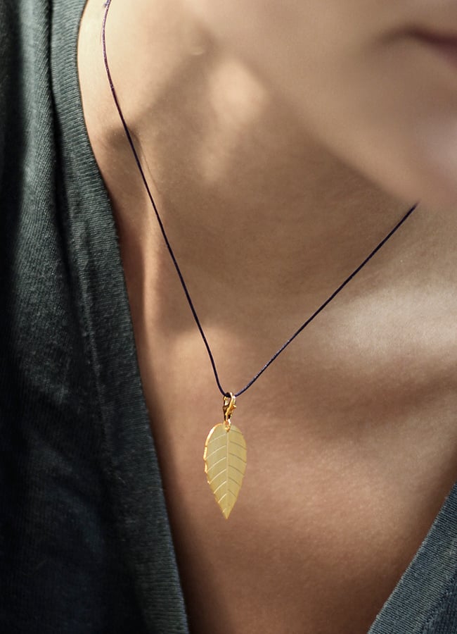Image of little leaf_brugmansia_gelbgold