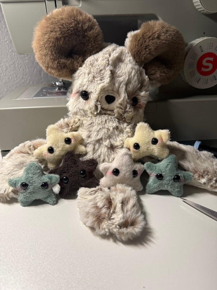 Image of Star plush PREORDERS