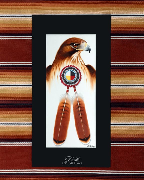 Image of Tlohtli (Red Tail Hawk)