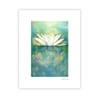 Lotus, Archival Paper Print