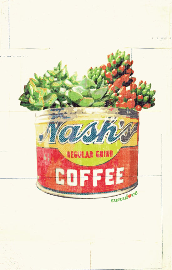 Image of Nash's