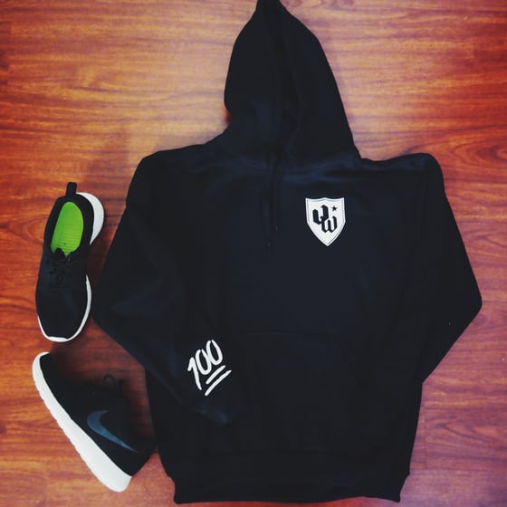 Image of VINYLWORKZ SHIELD x 100 Pullover