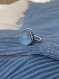 Image 3 of Bioluminescence 