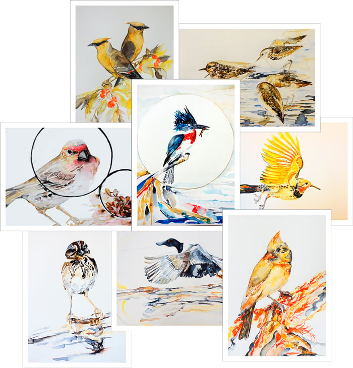 Image of Birds by Nancy Tomczak