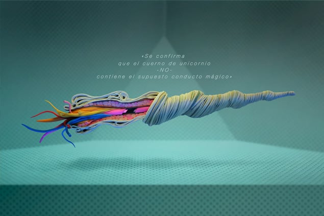 Image of "Se confirma que el cuerno de unicornio NO contiene el supuesto conducto mágico" 