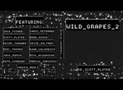 Image of WILD GRAPES 2 DVD