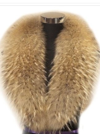 Image of Fur Collar