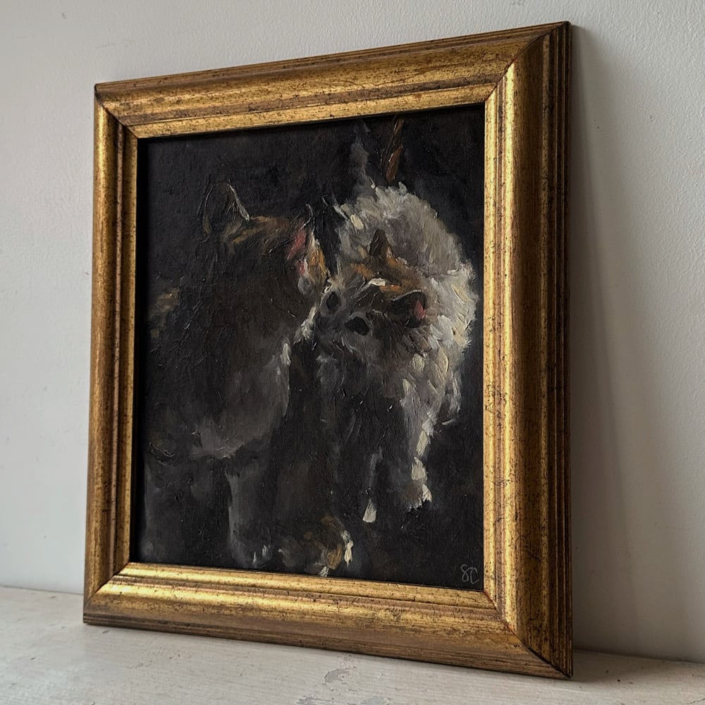 Image of pair of cats 