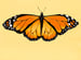Image of Ladies Monarch Butterfly garment dyed longsleeve t-shirt