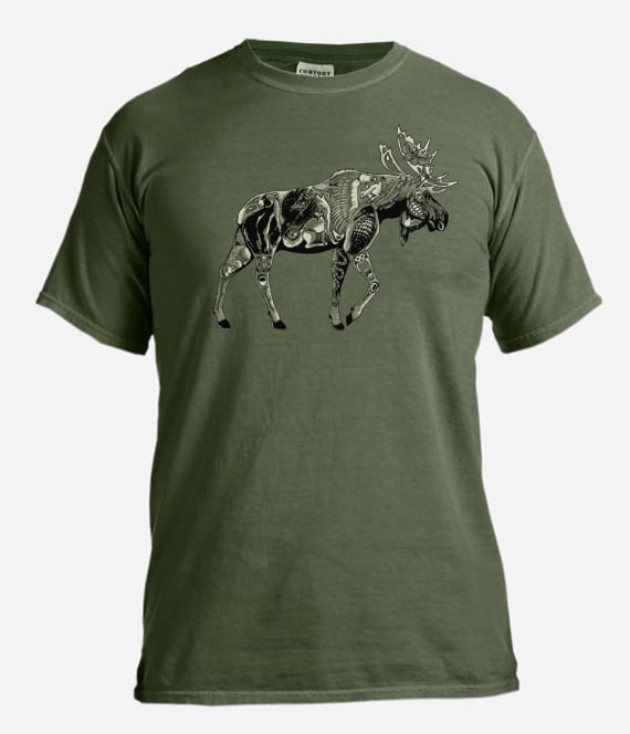 Brook Trout t-shirt / Coyote Graphics