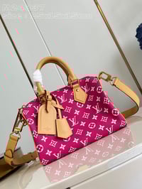 Image 13 of LV Pharrell Speedy