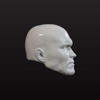 Image 4 of Viper Unpainted