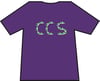 Hibs, Hibernian, CCS, Capital City Service Trainers, Casuals, Football Hooligans T-shirt