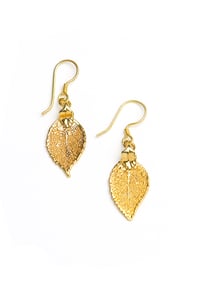 Image of Real Small Evergreen Earrings Preserved in Precious Metals