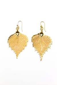 Image of Real Birch Leaf Earrings Preserved in Precious Metals