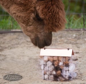 Bird Nesting Materials Alpaca Fiber - Pre Filled Suet Cage for Bird Lovers