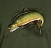 Image of Brook Trout t-shirt