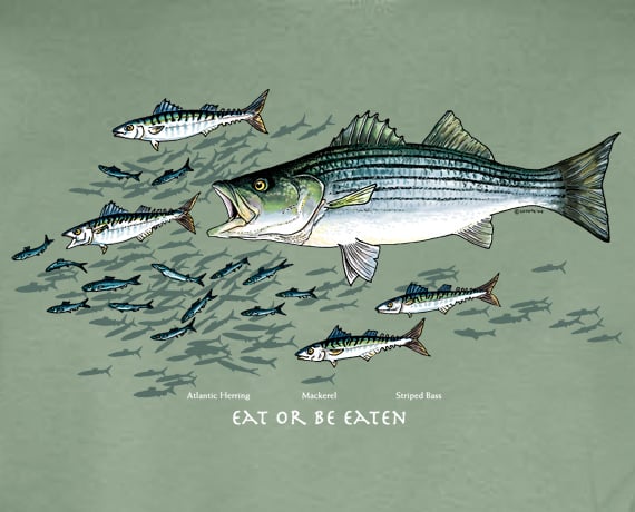 Eat or Be Eaten Striped Bass t-shirt
