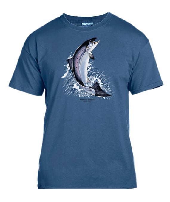 Atlantic Salmon t-shirt / Coyote Graphics