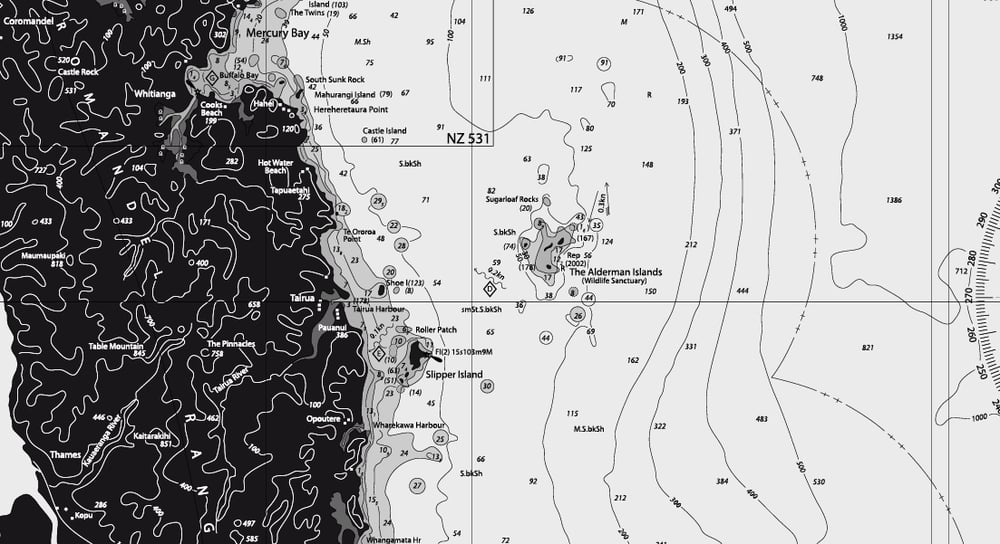 Image of Coromandel + The BOP - Silver Fox