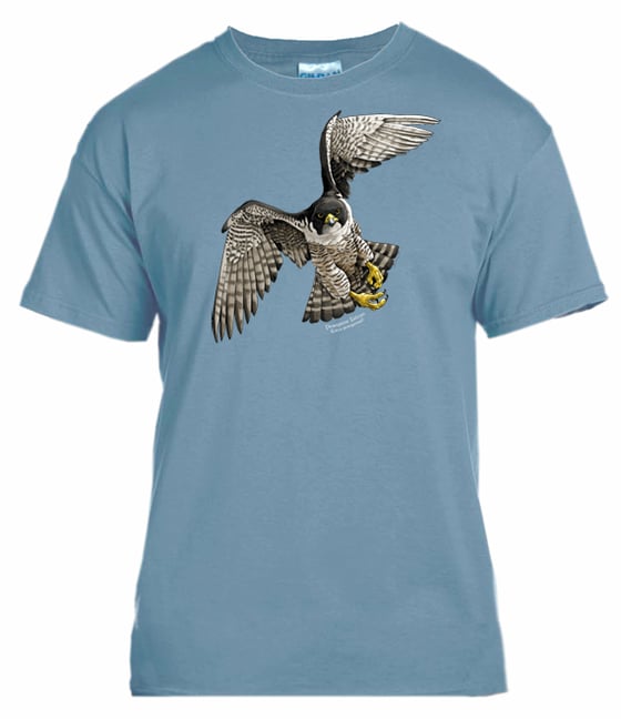 Image of Peregrine Falcon t-shirt