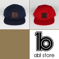 Image 2 of 5 panels