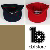 Image 3 of 5 panels