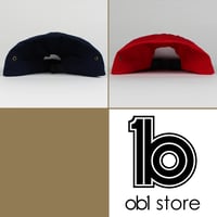 Image 4 of 5 panels