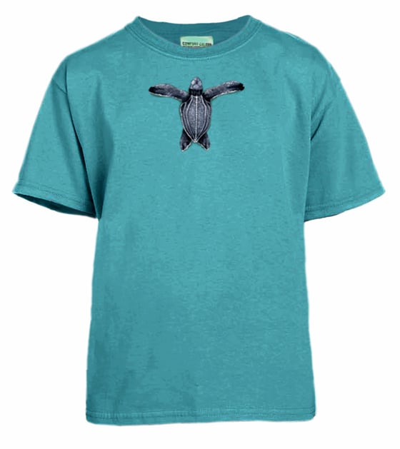 Image of Sea Turtle garment dyed youth t-shirt