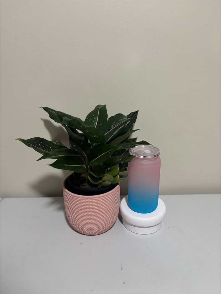 Frosted Matte Libby Can