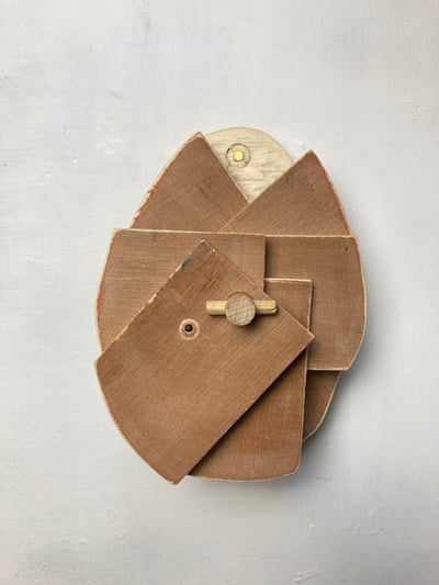 Image of Egg in wooden robes: puzzle by Aubrey Taeuber 