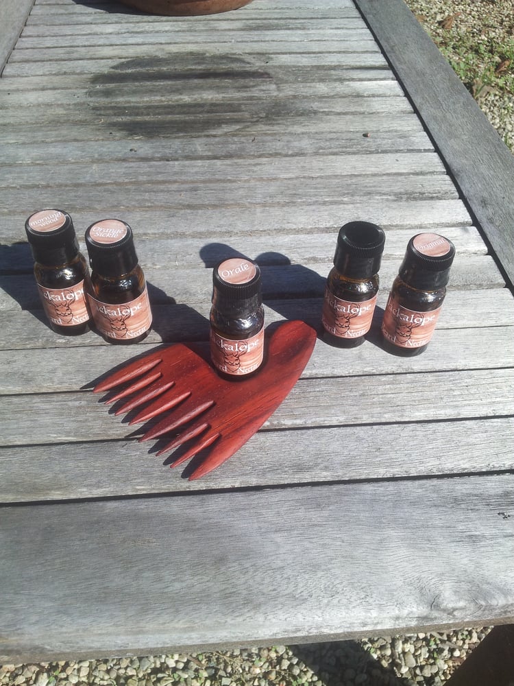 Image of Wood Comb Plus our sample pack