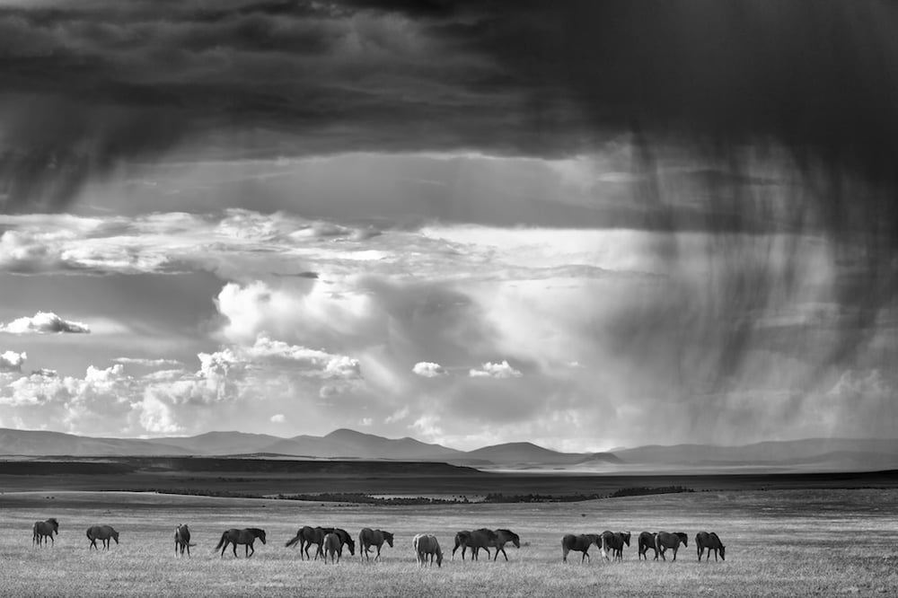 Image of Under A Falling Sky