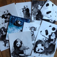 Image 4 of Pandamonium 14 postcards set 