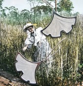Image of Erica Weiner 'Ginkgo' Earrings