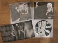 Image 2 of THE DOMESTICS (UK) - 'ROUTINE & RITUAL' ALBUM (CD VERSION)