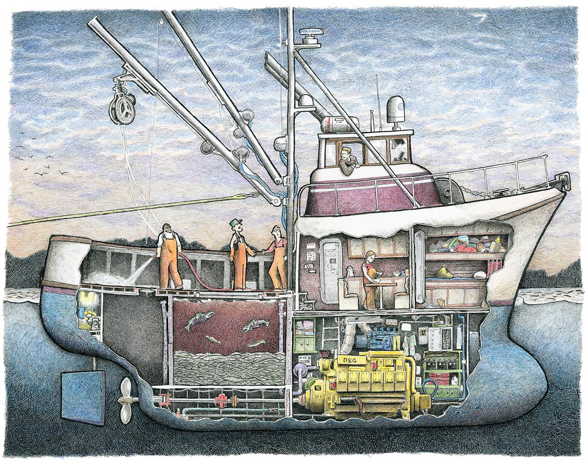Seiner No. 3  11" x 14"