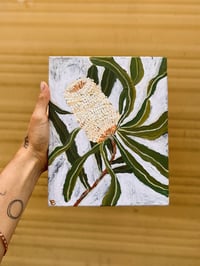 Image 2 of banksia 