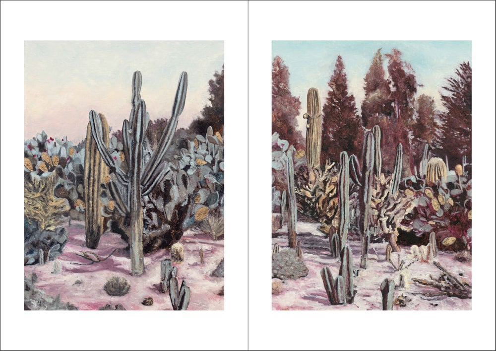 Image of Cactus Garden 1 and 2