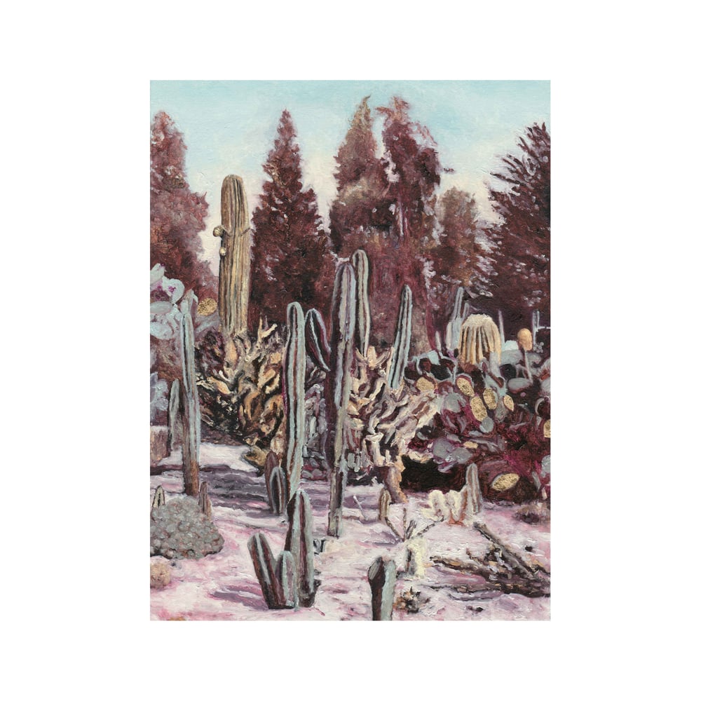 Image of Cactus Garden 1