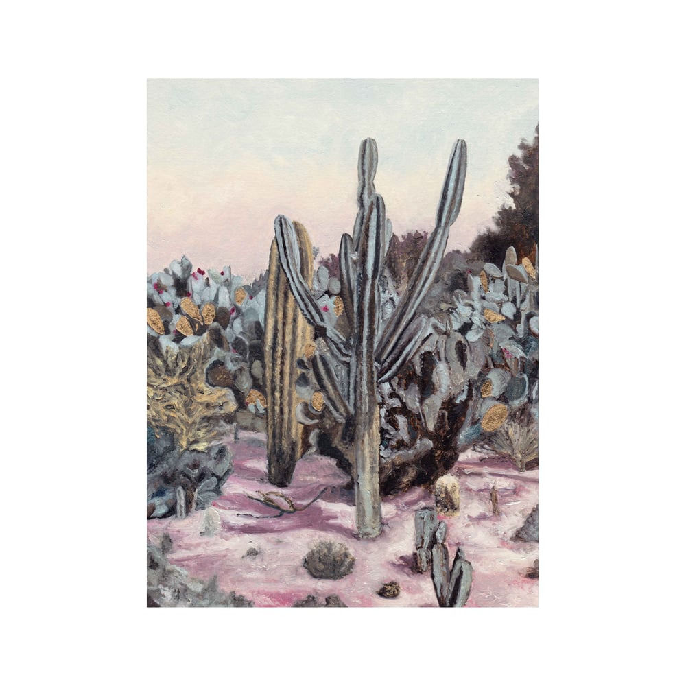 Image of Cactus Garden 2