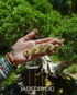 green tea donut necklace Image 2