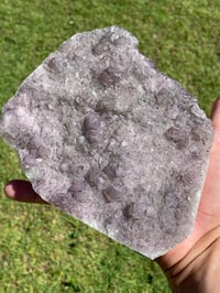 Image 9 of Green & Purple Cubic Fluorite Specimen #1802